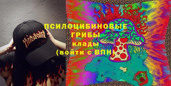 ПСИЛОЦИБИНОВЫЕ ГРИБЫ Орехово-Зуево