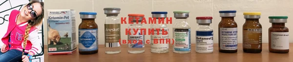 дмт Магас