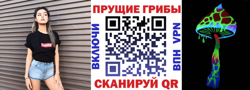 блэк спрут зеркало  Ялуторовск  Галлюциногенные грибы Psilocybe 